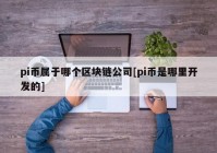 pi币属于哪个区块链公司[pi币是哪里开发的]