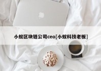 小蚁区块链公司ceo[小蚁科技老板]